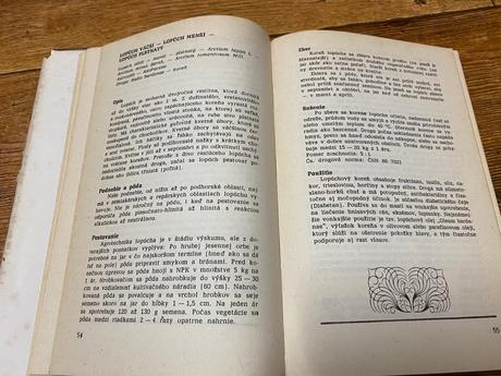 Pestovanie liečivých rastlín na malých plochách,