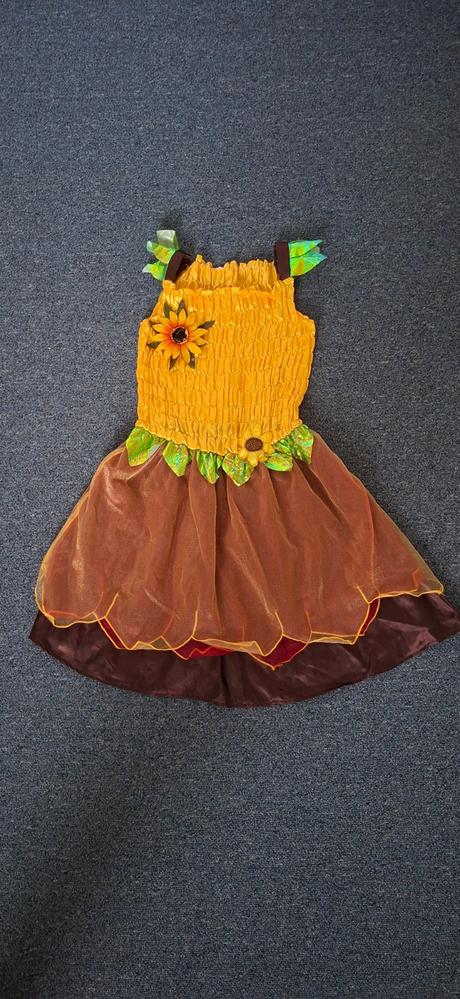 Kostým slnečnica, 