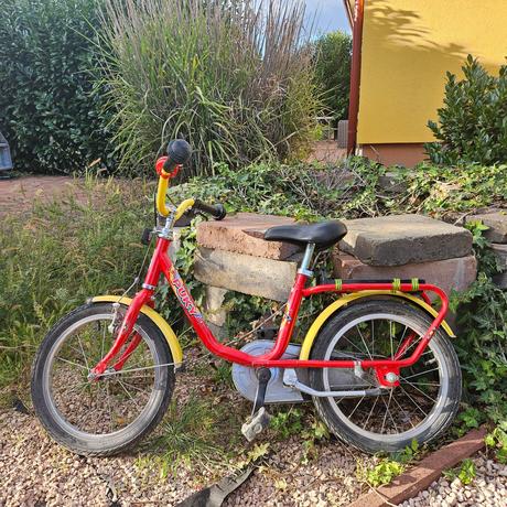 Darujem bicykel, puky,16