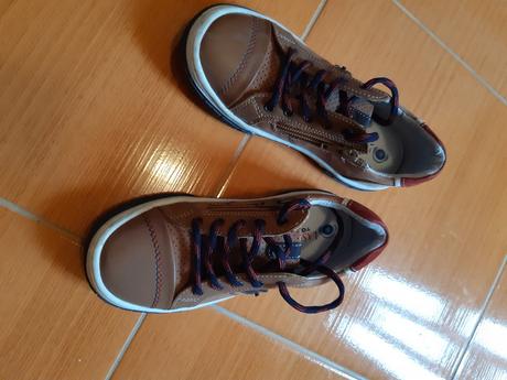 Poltopánky, lasocki,31