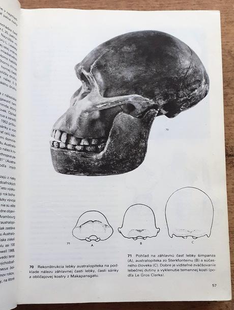 Veľký obrazový atlas pravekého človeka,