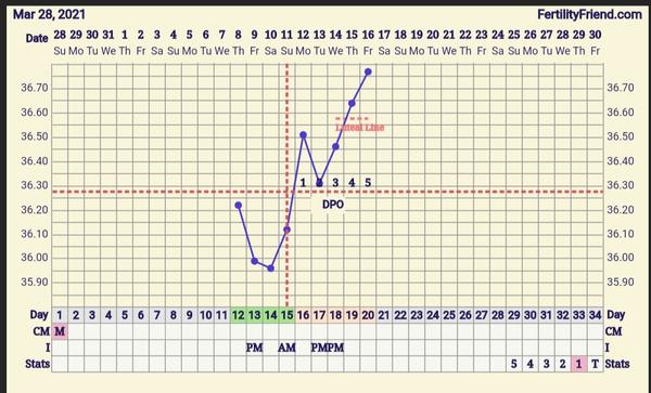 Poradíte mi s ovulačnými testami a bazálnou teplotou?