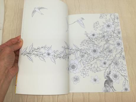 Daisy fletcher birdtopia coluring book nau19,