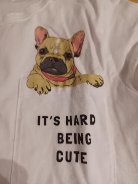 6x tričko s krátkym rukávom + 1 gratis, name it,164