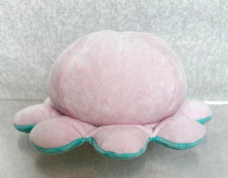 Šťastná a mrzutá chobotnička 2 v 1, 