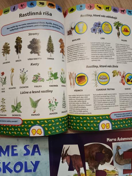 Knihy pre predskolakov, 