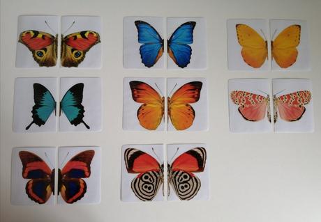 16 ks montessori kartičiek - motýle,