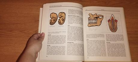 Encyklopédia zdravia pre deti a mládež, 