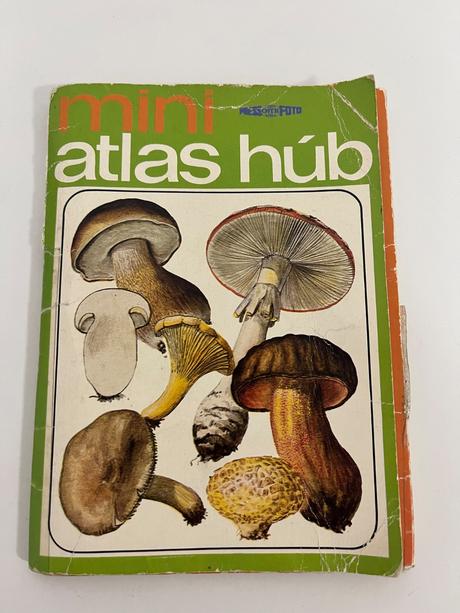 Miniatlas húb, 