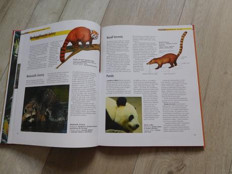 Cicavce---30 x 24 cm, 96 strán, 