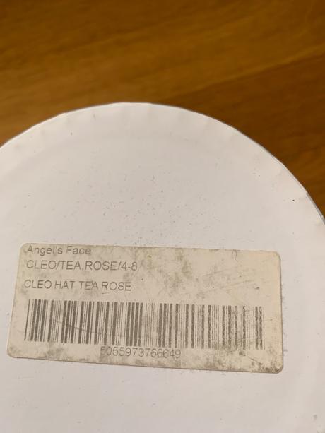 Luxusný set angels face v top stave, next,116