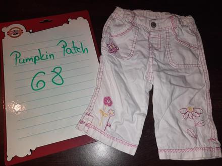 Nohavice, pumpkin patch,68