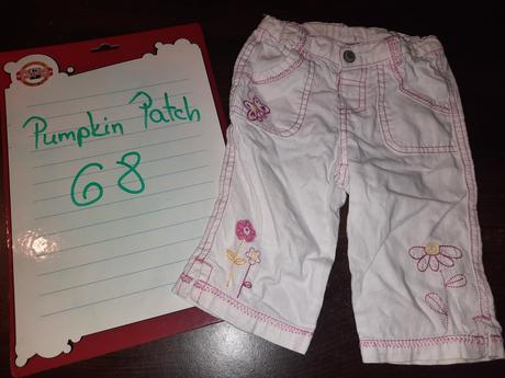 Nohavice, pumpkin patch,68