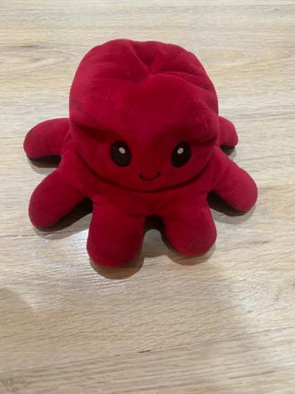 Obojstranná chobotnica northix,