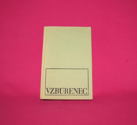 Vzbúrenec  valles jules, 