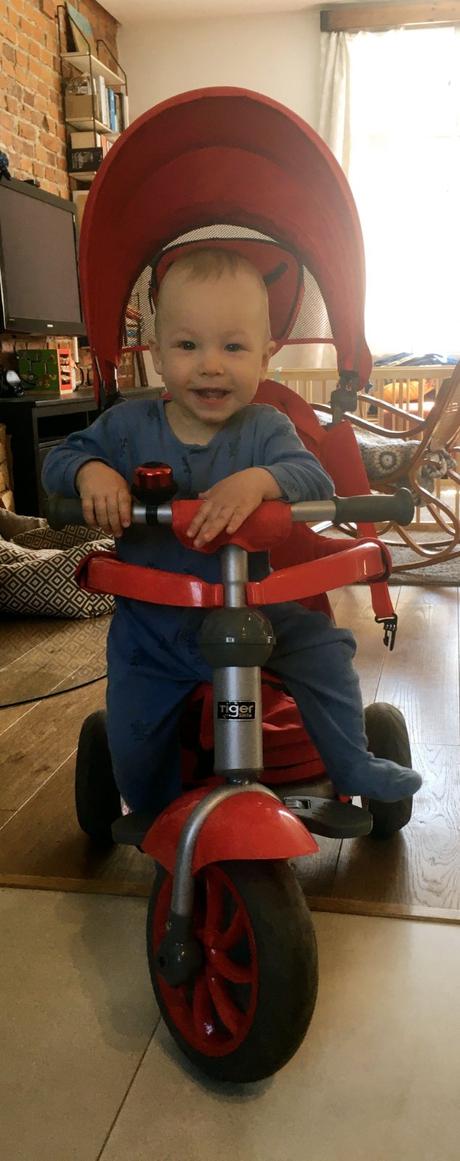 Trojkolka little tiger, baby tiger