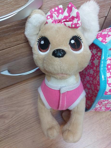 Psík chi chi love + oblečenie, 