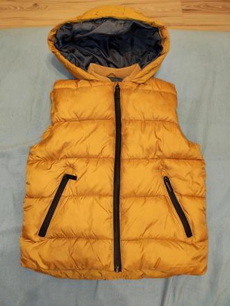 Vesta, zara,116
