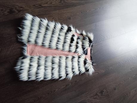 Vesta primigi, primigi,140