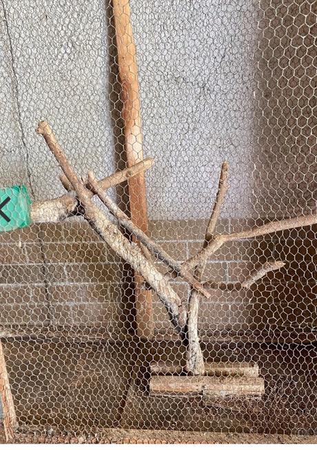 Klietka pre andulky korely a podobne, 