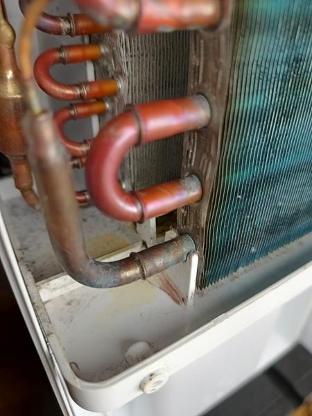 Skúsenosti s odvlhčovačom značky Concept: Ako riešiť kontamináciu?