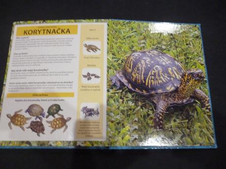 Rozpravkova kniha s puzzlami,