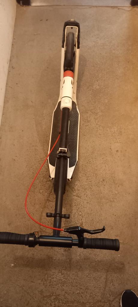 Kolobežka oxelo, oxelo