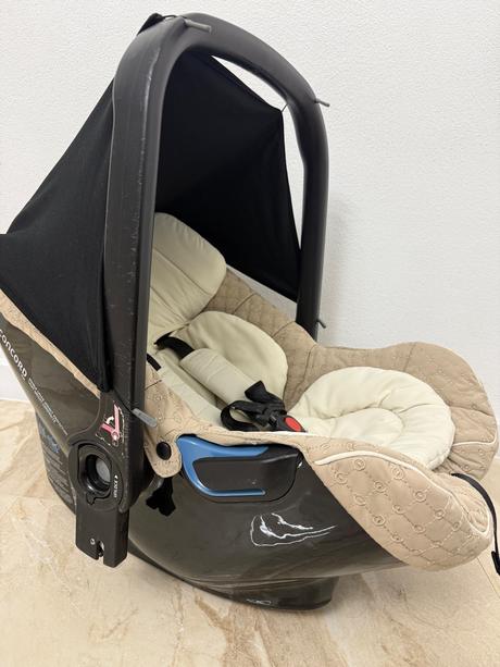 Vajíčko concord, concord