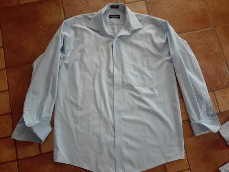 Bledomodra znackova kosela, l