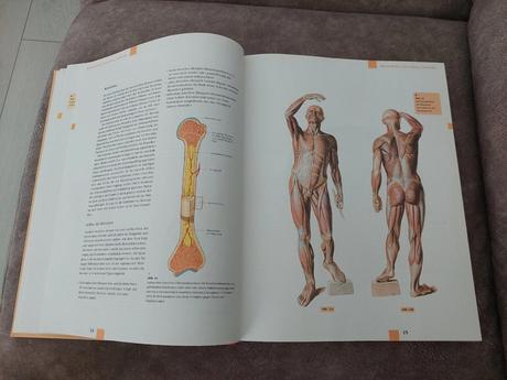 Atlas anatómie - nemecké vydanie, 