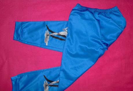 Ronaldo futbal teplaciky, l