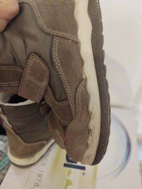 Snehule primigi, primigi,28