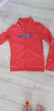 Mikina, puma,s