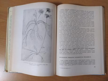 Metodika prírodopisu (1964), 