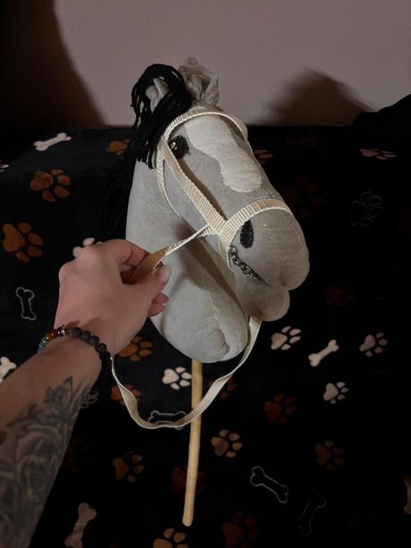 Hobby horse, 