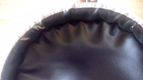 Kočik, tako,tako captiva mohican