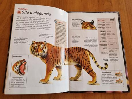 Dokumentárne dvd o bengálských tigroch s knižkou,