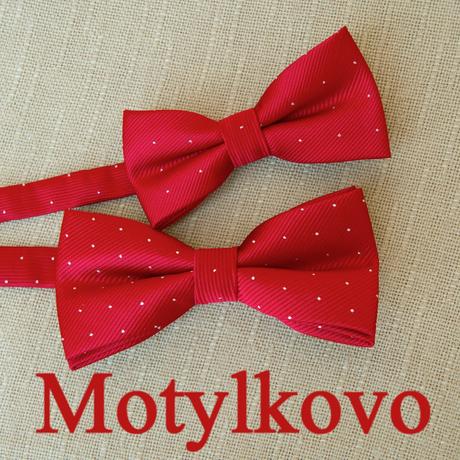 Motýlik pre otca a syna červený modrý, motýliky, 