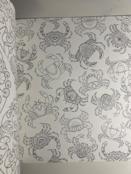 Stratený oceán - vymaľovanky,