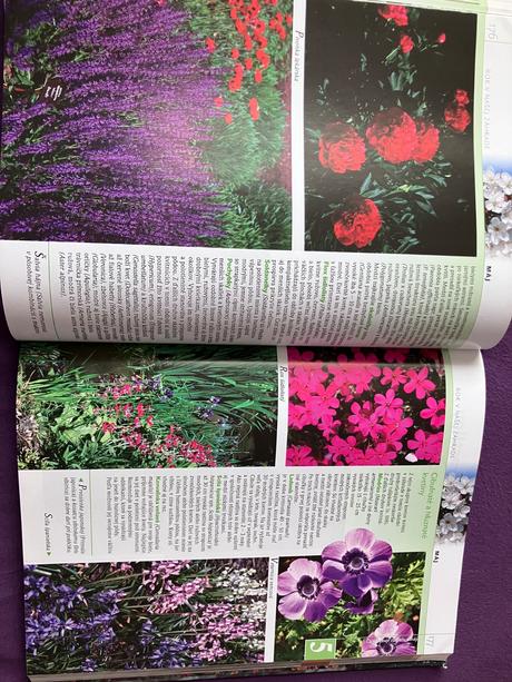 Rok v našej záhrade, 