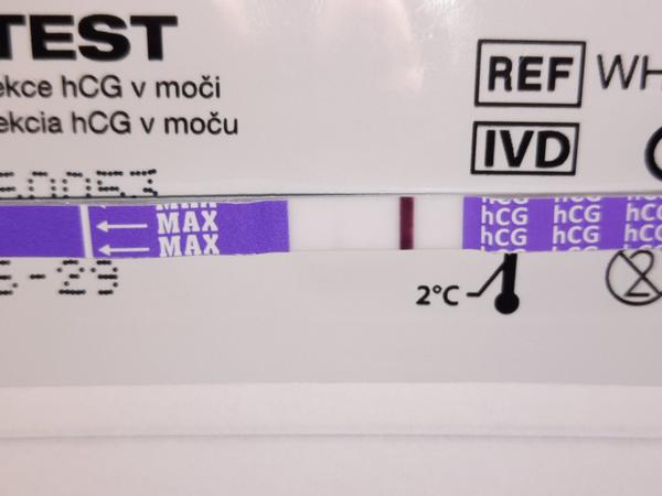 Test padnutý do moču