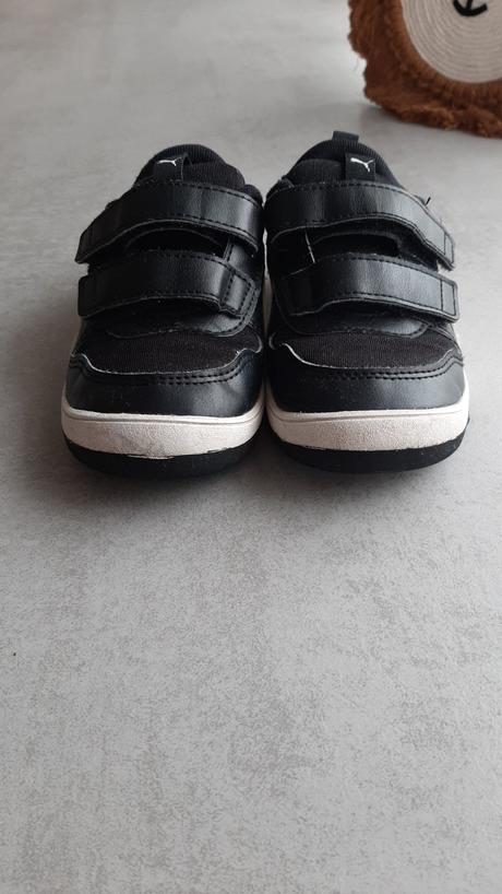 Botasky puma, puma,27