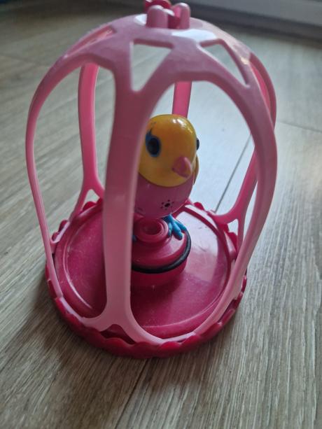 Spievajúci vtáčik v klietke,