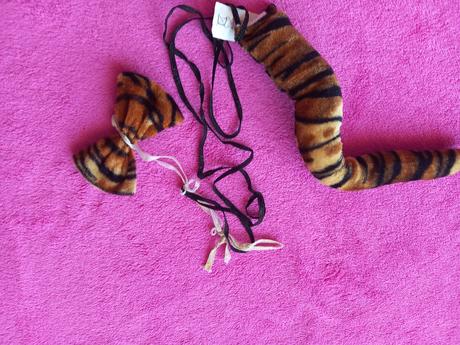 Tigrík na karneval, 