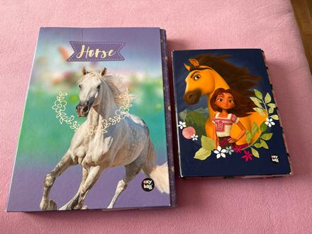 Školské dosky kon, 