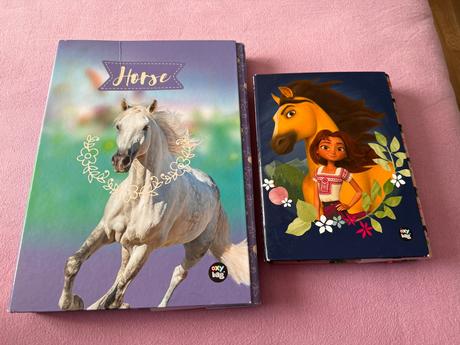 Školské dosky kon, 