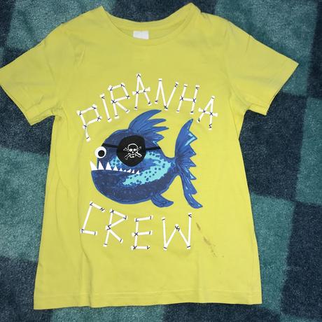 Tričko, palomino,122