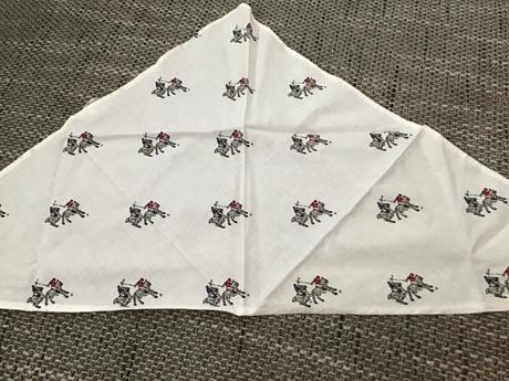 Šatka s konikmi,