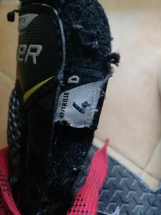 Korčule bauer, bauer