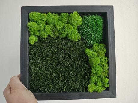 Machový obraz / kus lesa, ktorý nikdy nezvädne, 